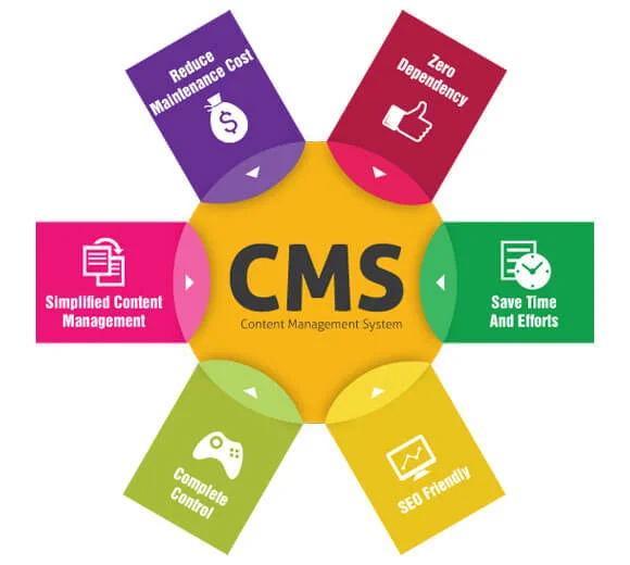 Content Management Solutions Company